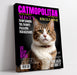 Funny cat portrait on Catmopolitan magazine cover with humorous headlines, featuring a tabby cat named Misty