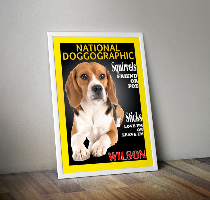 Funny pet portrait on national doggographic magazine cover with humorous headlines, featuring a beagle