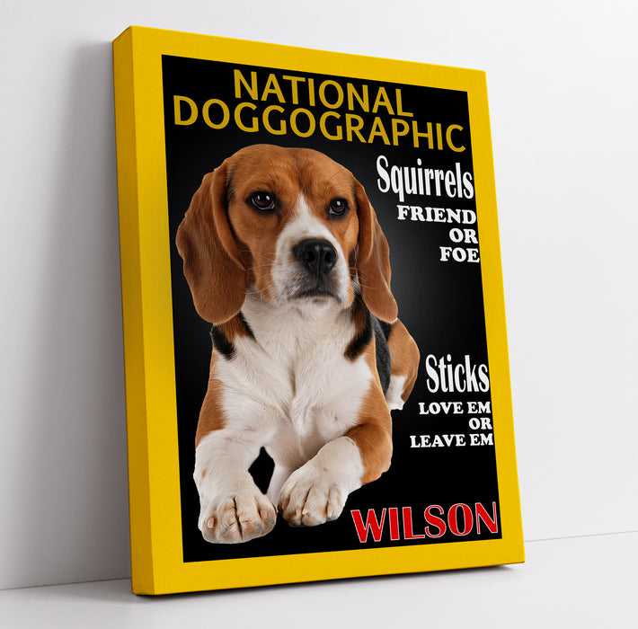 Funny pet portrait on national doggographic magazine cover with humorous headlines, featuring a beagle