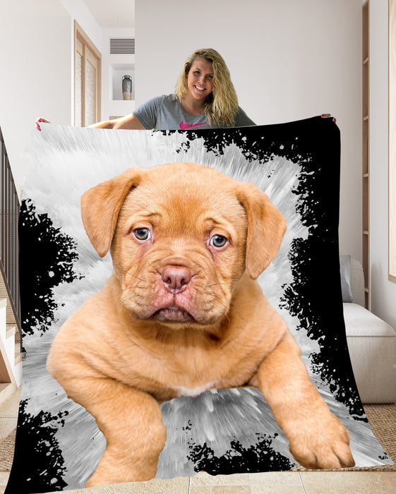 Pet Photo Blanket Colour Splash - pet canvas art