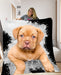 Pet Photo Blanket Colour Splash - pet canvas art