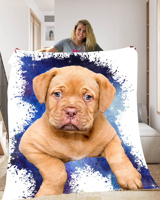 Pet Photo Blanket Colour Splash - pet canvas art